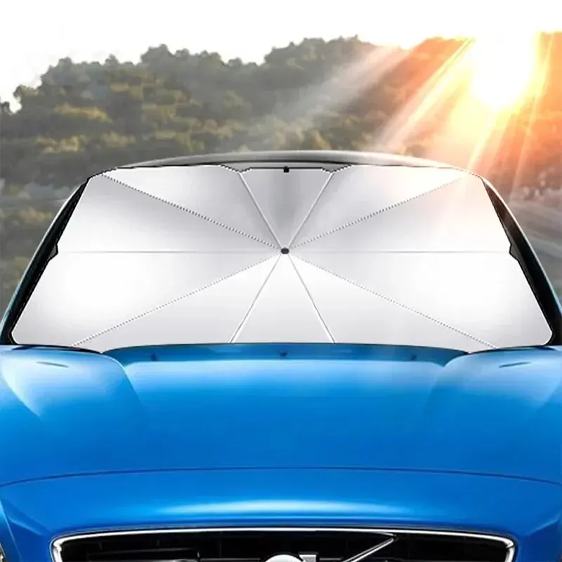 S6b50411c11e6461988e726bcdd493cc1M.webp