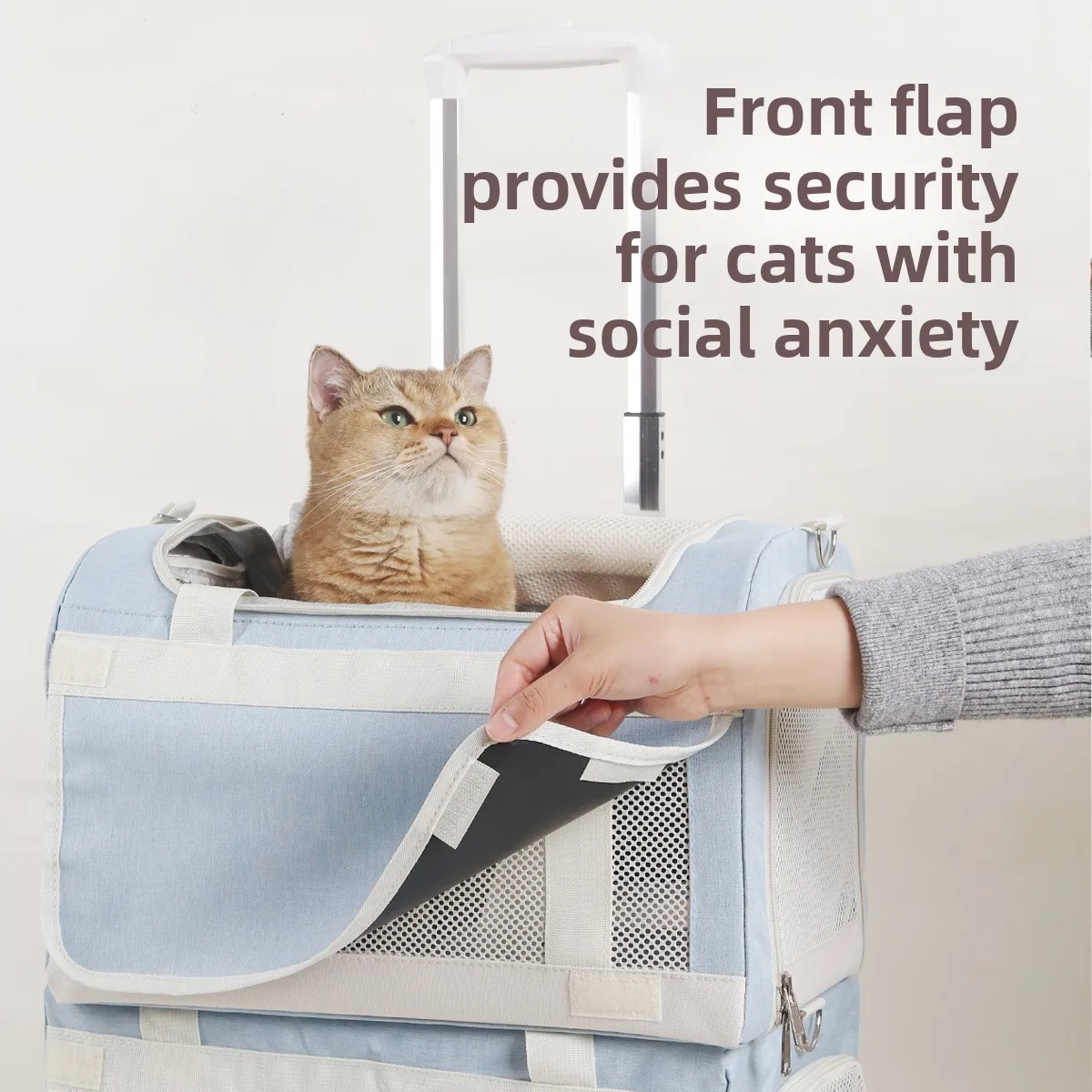 Sc83b3f5e1589488091f57b204742fa84X.webp